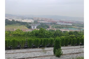 公墓优势探讨