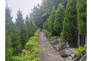 烈士陵园服务项目