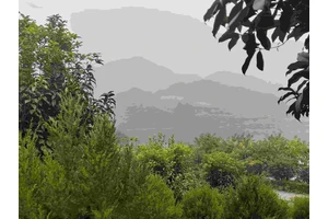 安葬服务暖人心