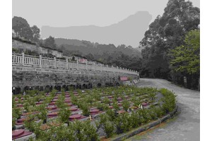 陵园祭扫安全提示