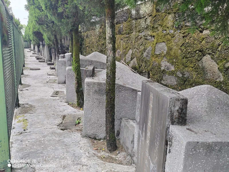 thumb_IMG_20230523_124411