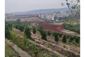 重庆龙居山陵园：让生命回归自然