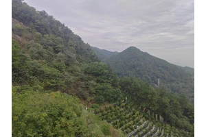 龙居山陵园，惠民殡葬