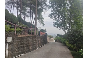 重庆龙居山陵园碑文设计服务