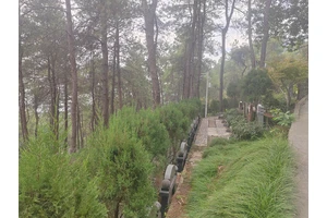 重庆龙居山陵园环境优美