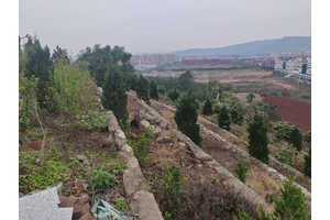 重庆龙居山陵园：践行文明殡葬